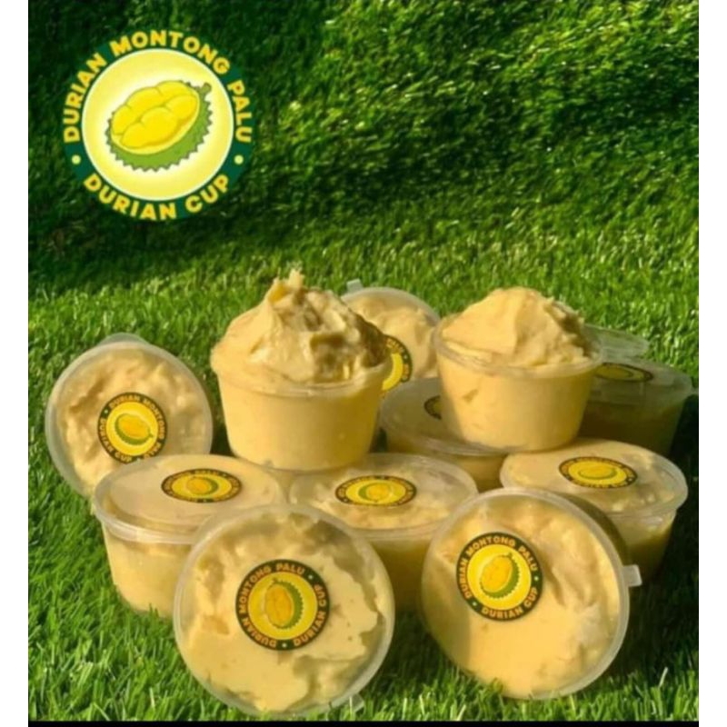 Durian cup montong palu