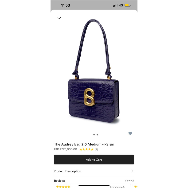 PL Audrey bag buttonscarves