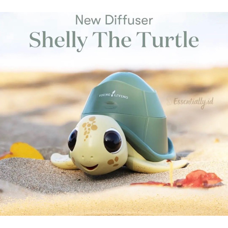 shelly turtle diffuser FREE OIL 5ML