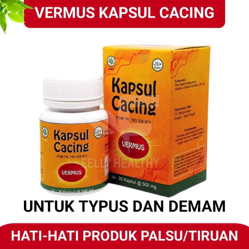 Obat Tipes  Ampuh Anak Dan Dewasa Tives Tifus Typus Herbal Kapsul Cacing Untuk Tipes Cina Vermint BP