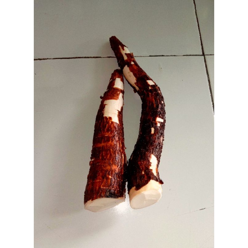 

Singkong 1kg
