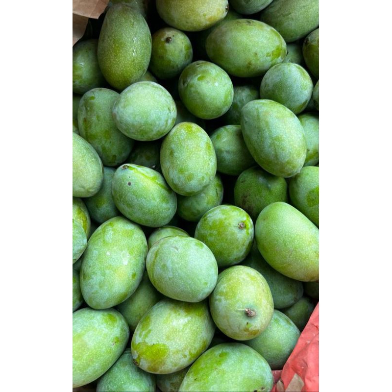 

MANGGA MANALAGI MANIS