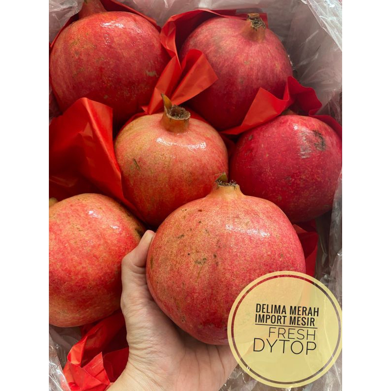 Buah Delima Merah Pomegranate Import Mesir Fresh Manis Jumbo - Per Pcs