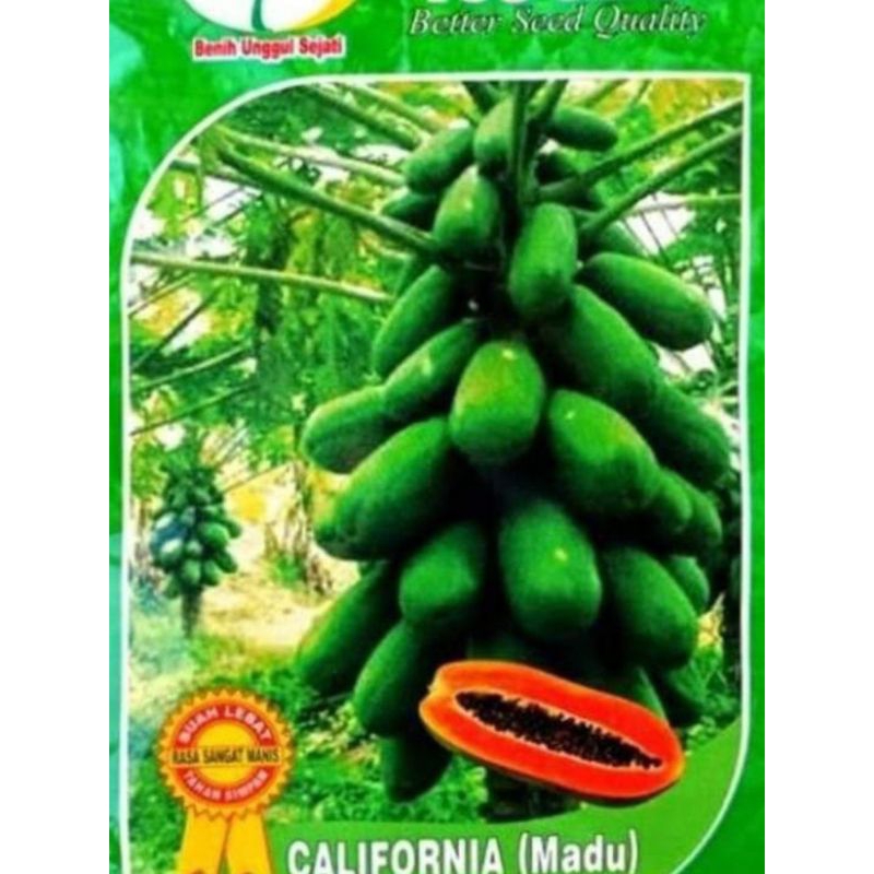 

bibit atau benih unggul pepaya California madu you seed