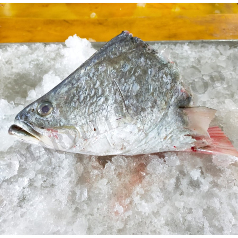 

Kepala kakap putih / baramundi frozen kemasan 1kg