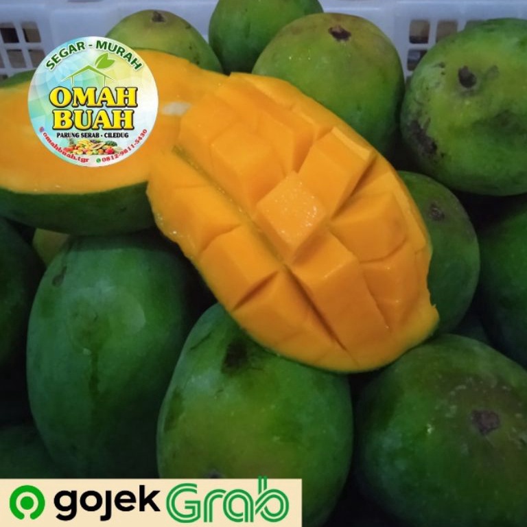 

✦BEST SELLER✦ Mangga Harum Manis 900 gram - 1 Kg