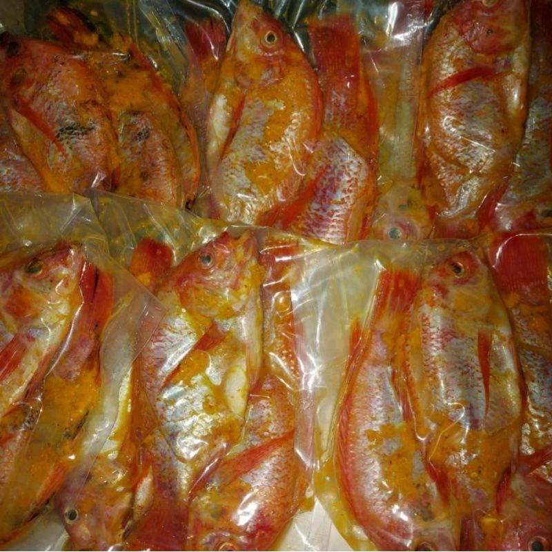 

ikan nila merah bumbu kuning siap goreng