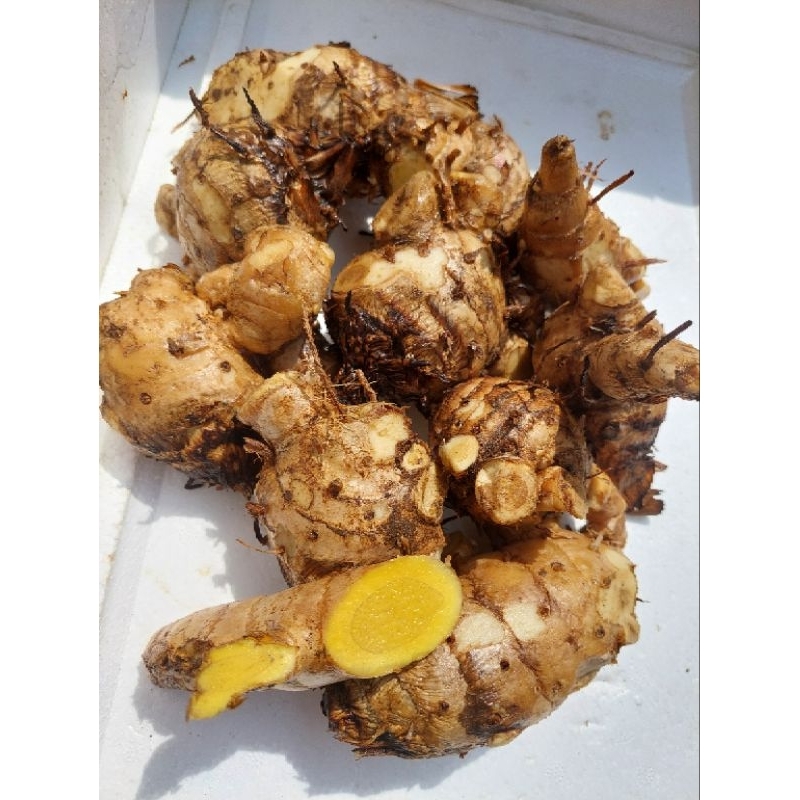 

Kunyit Putih 500gr