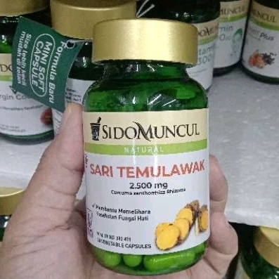 Sari temulawak sidomuncul