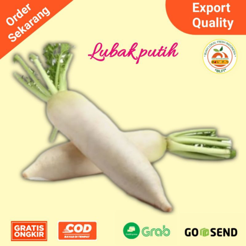 

RB LOBAK PUTIH FRESH