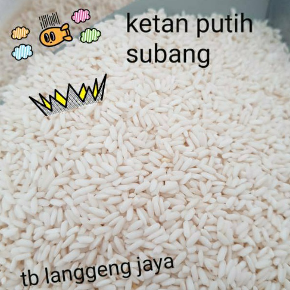 Belanja Horeg5G0s KETAN PUTIH SUBANG KETAN THAILAND 1KG - repack