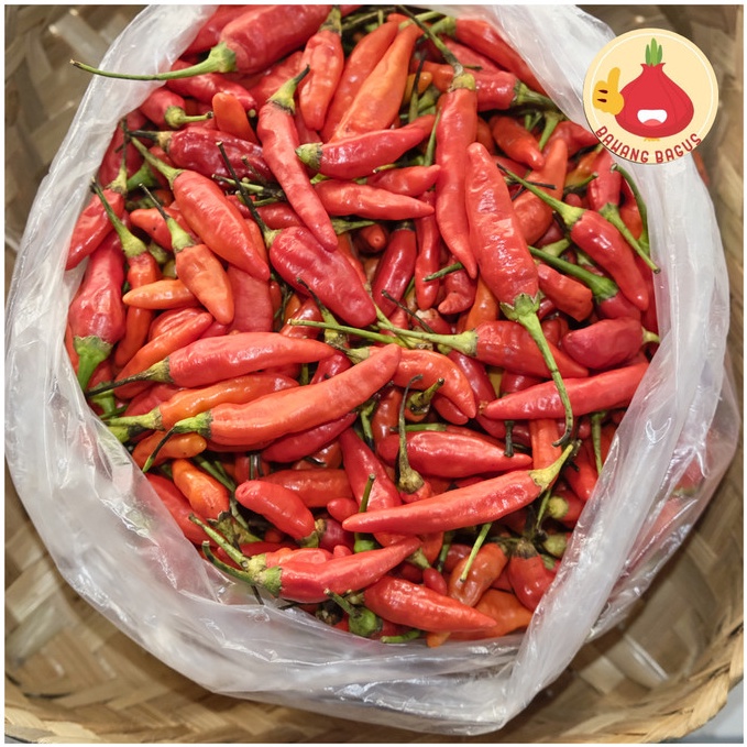 

Harga Bersahabat.. Cabai Rawit Merah/Cabai Rawit/Cabai Rawit Pedas 500gr - Bawangbagus 35