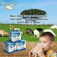 

Maxigoat Susu Kambing Etawa 1 Box Isi 11 Sachet @20gr
