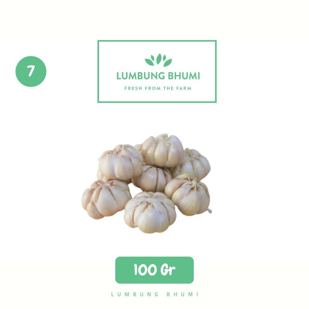 

Harga Miring Bawang Putih Bersih Honan Sayur - Lumbung Bhumi