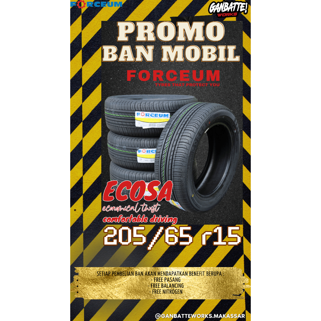ban standard ukuran r15 205/65 forceum ecosa