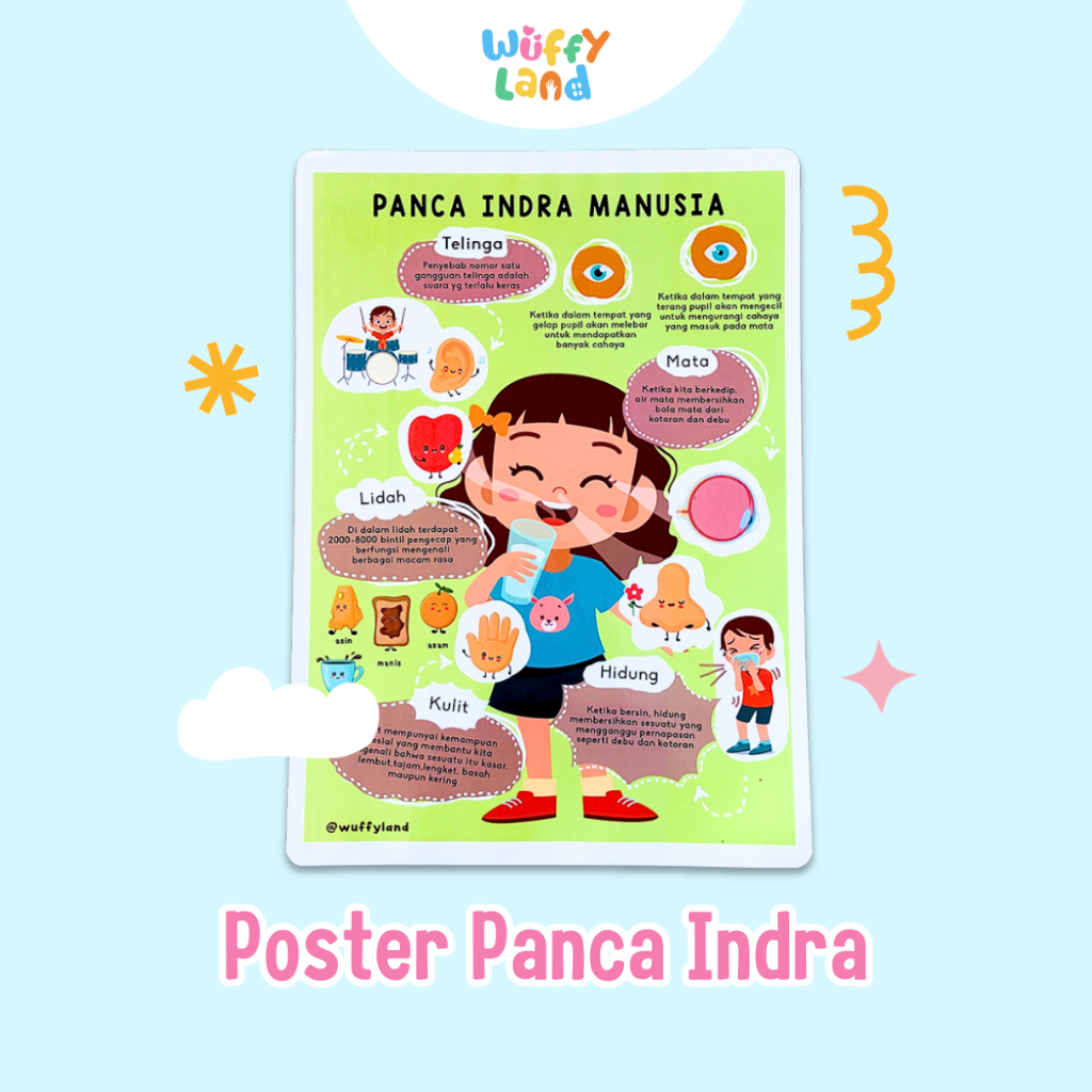 Poster Edukasi - Panca Indra Manusia (Tebal)