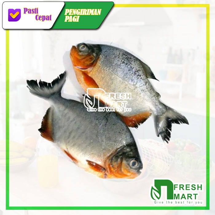 

IKAN BAWAL TAWAR FRESH - N FRESH MART