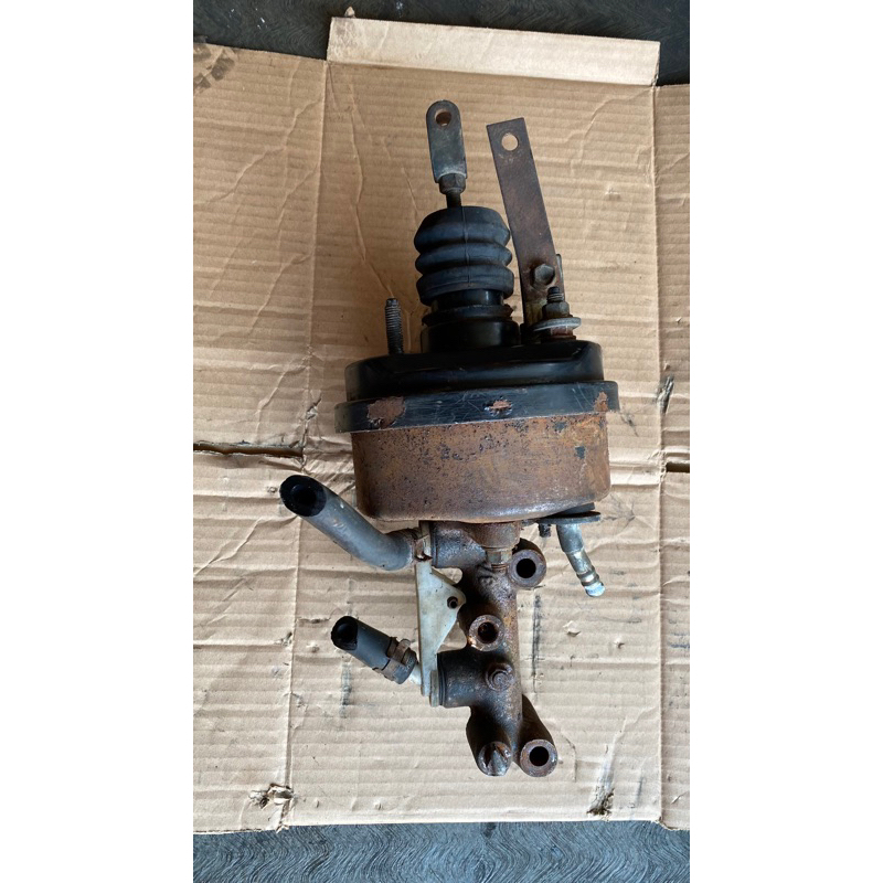 Boster Rem Zebra Set Master