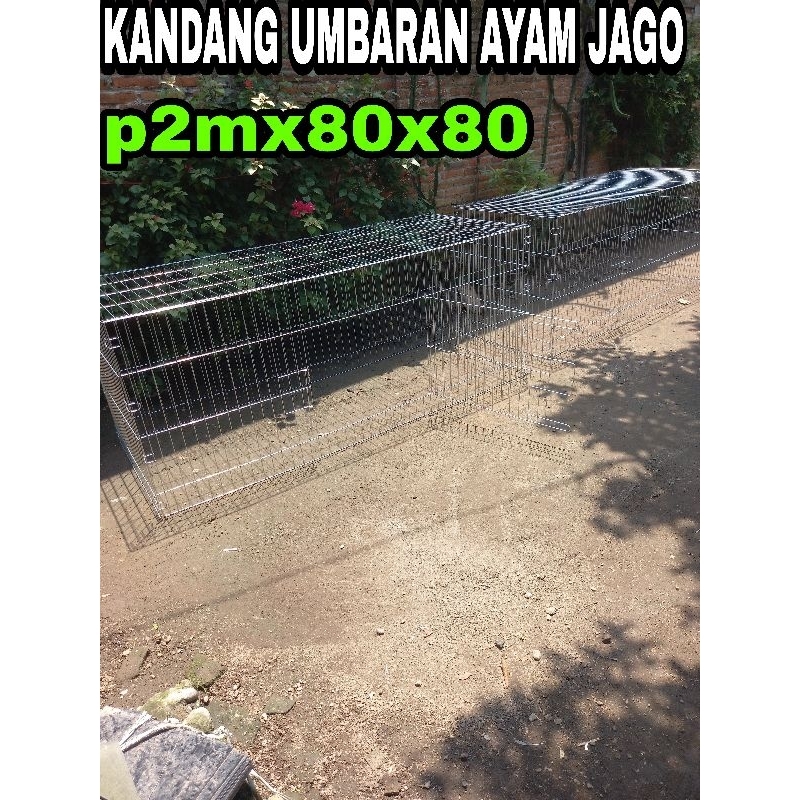 Umbaran Ayam Galvanis anti karat