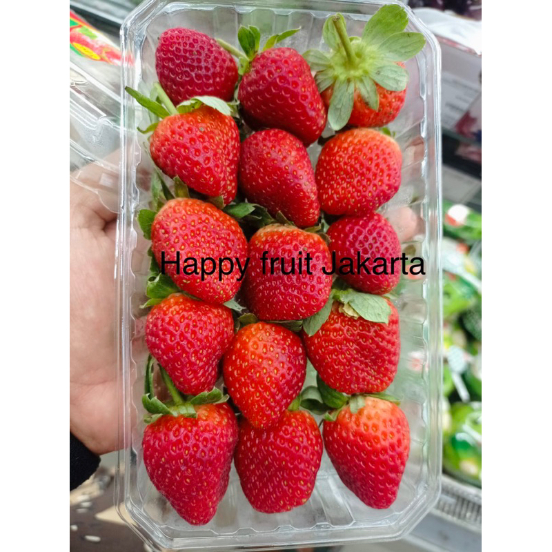 

Strawberry egyp Clas 1 | Buah strawberries freah mesir pack 250gr