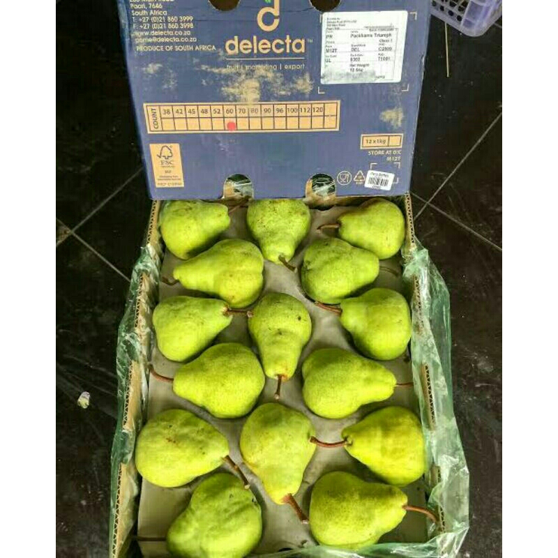 

pear packam @karton