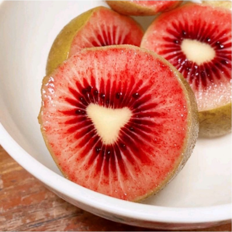 Bibit Tanaman Buah Kiwi Merah / Red Kiwi / Gosberry China