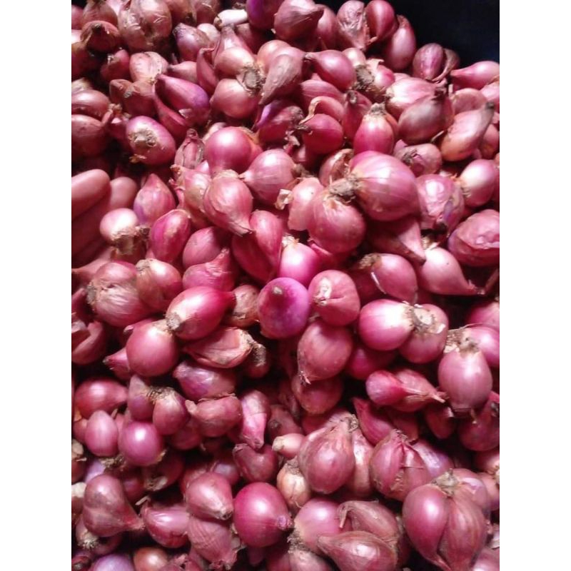 

Bawang Merah Besar 500gr /Bima/brebes/Makasar