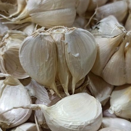 

bawang putih kating 500gram