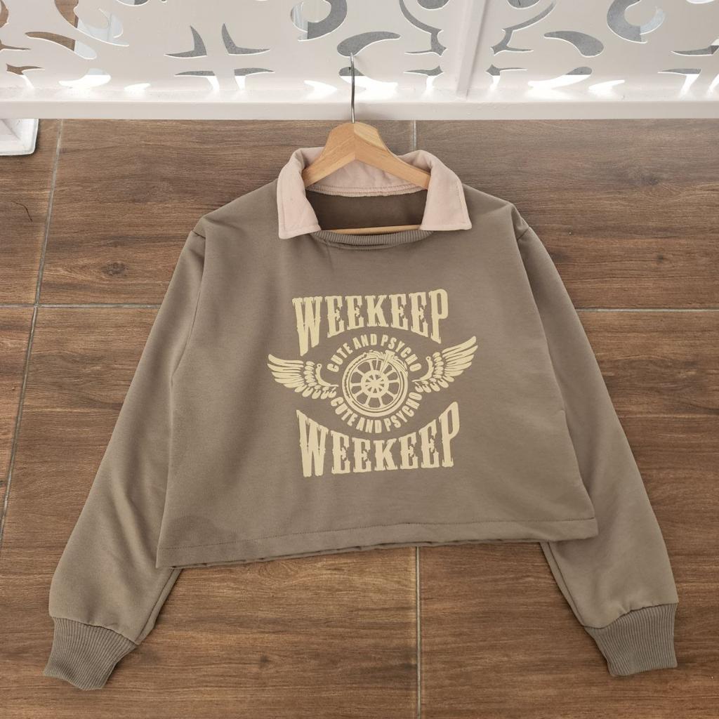 SWEATER CROP COLLAR WANITA KOREAN - WEEKEP CROOPE - SWEATSHIRT BERKERAH