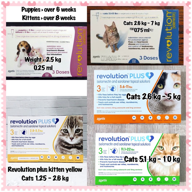 Obat kutu revolution kucing