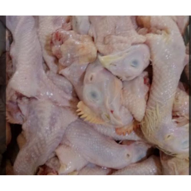 

kepala ayam