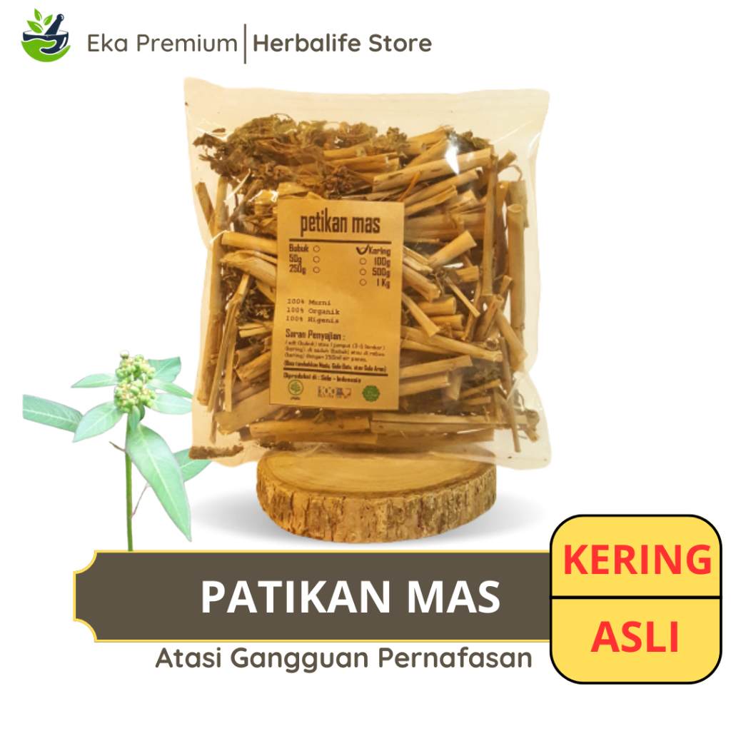 

PATIKAN MAS KERING Petikan Kate Mas Ramuan Rempah Herbal Asli Jamu Minuman Alami Murni Petikan Tradisional Simplisia Euphorbia Prunifolia Jacq