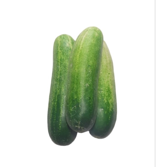 

timun segar 1 kg