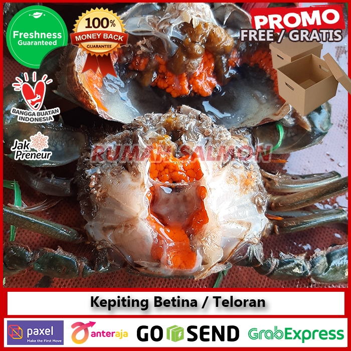 

Kepiting Bakau Betina / Kepiting Telor Telur HIDUP / Kepiting 1kg isi 2-3pcs Seafood