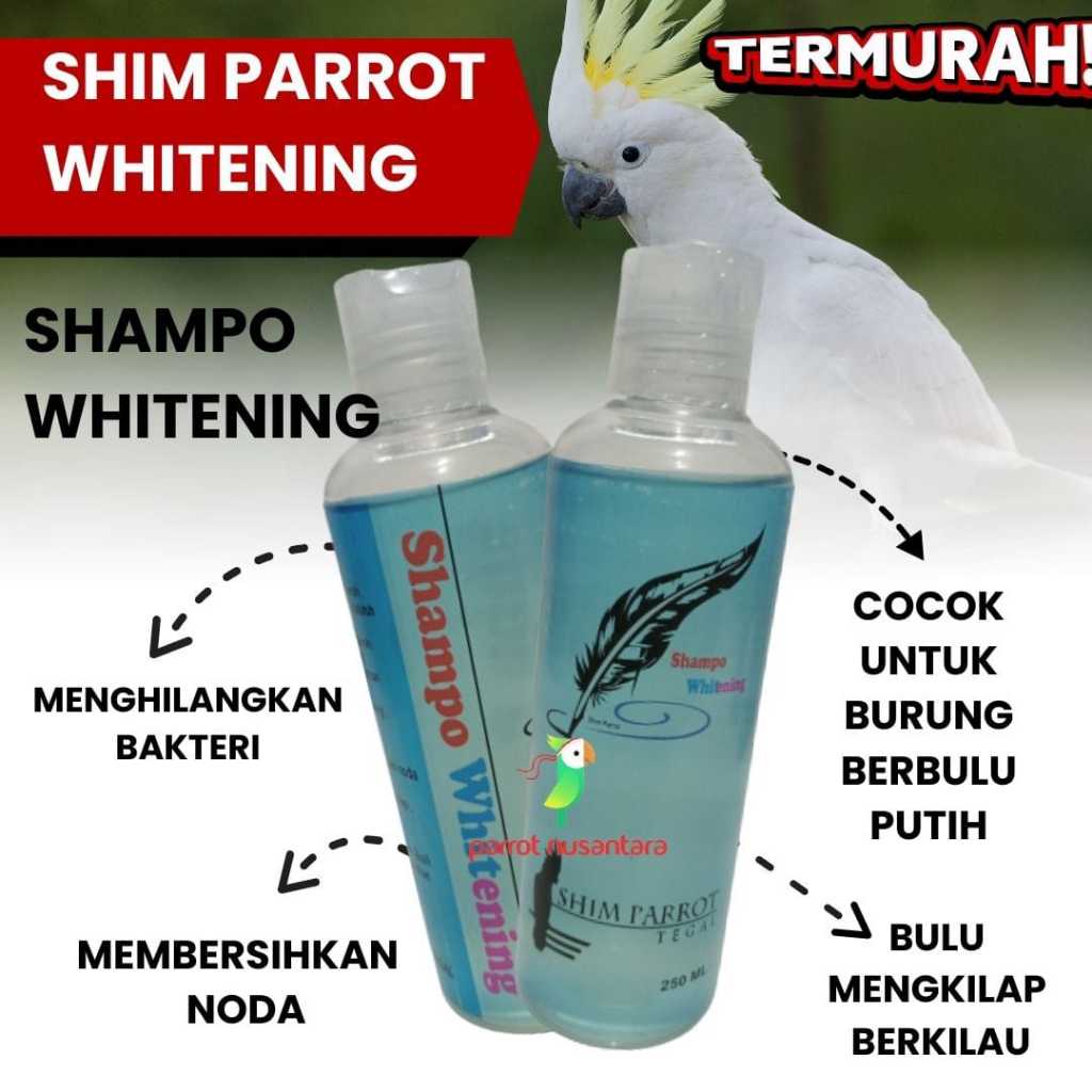 SHAMPO SHIM PARROT WHITENING PEMBERSIH BULU KAKATUA DAN BULU BURUNG BERWARNA PUTIH MURAH