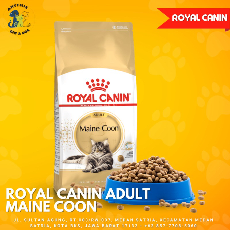 ROYAL CANIN ADULT MAINE COON
