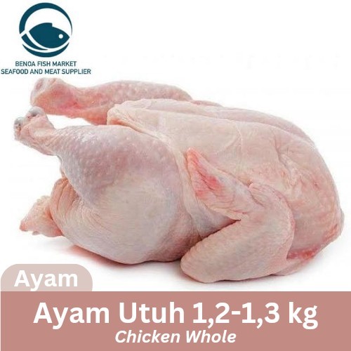 

Ayam Utuh Size 1.2-1.3 kg Chicken whole Karkas