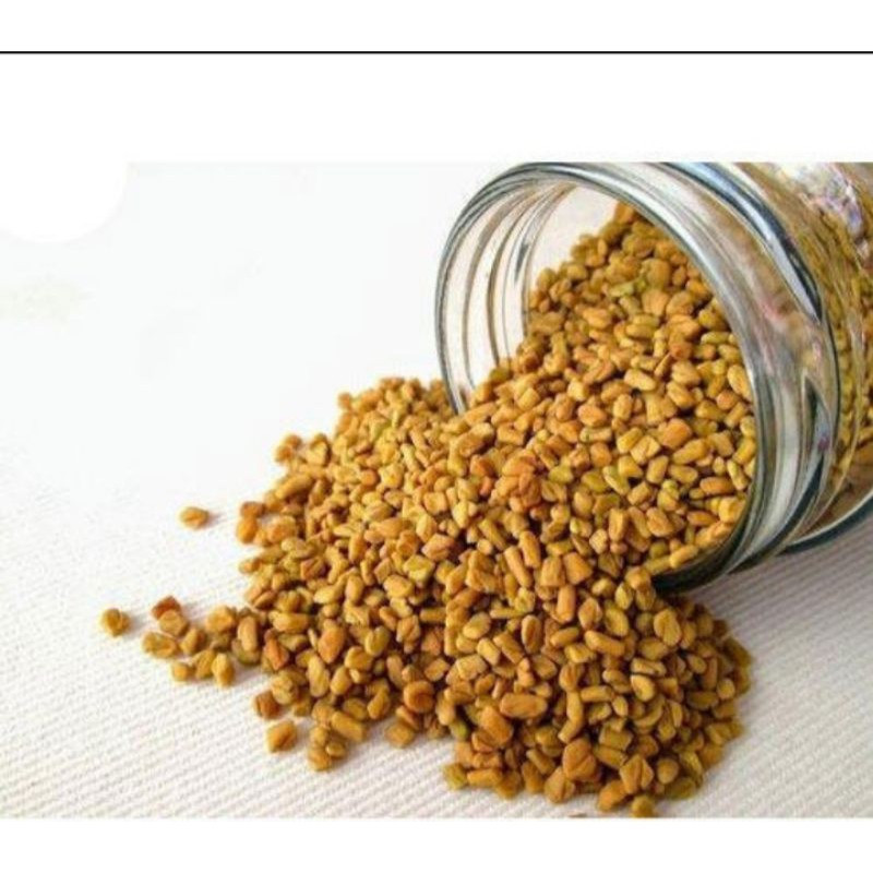 Methi seeds pembesar payudara dan pelangsing original