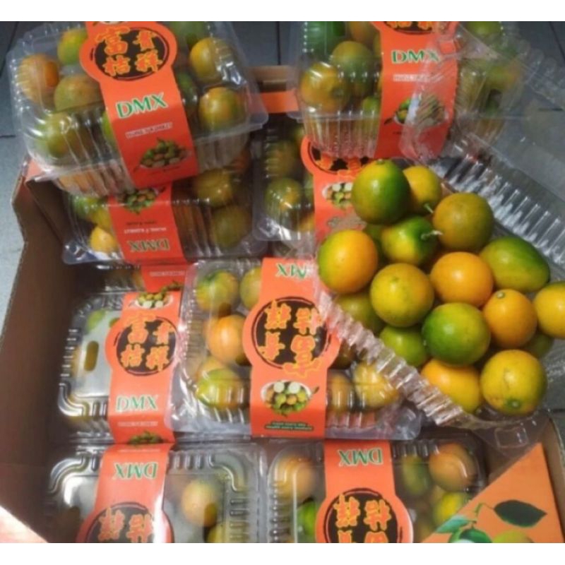 

JERUK KIMKIT | KIMKIT oranges | jeruk kimkit bandung | jeruk dimakan kulitnya