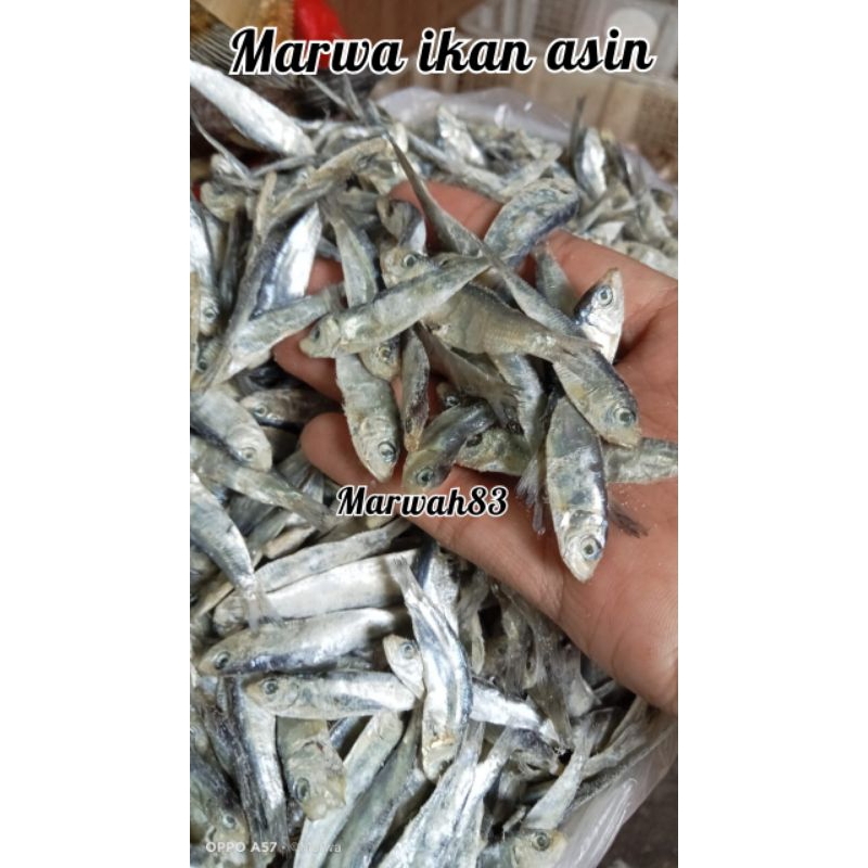 

ikan asin tembang alus ikan asin lemet kualitas super berkualitas harga murah 1.kg