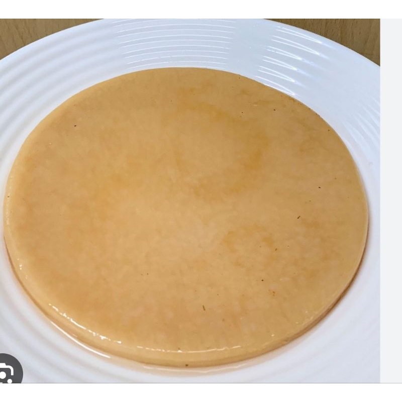 

scoby kombucha jumbo/big size/diameter 21cm+starter+petunjuk pembuatan
