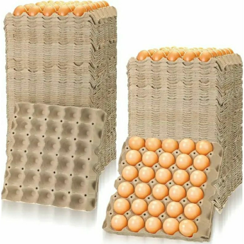 baru egg tray karton grade A tempat telur ayam atau wadah telur bebek isi 30