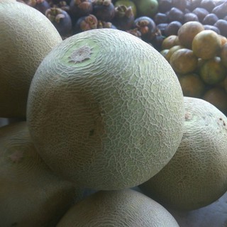 

Buah Melon Fresh Per Biji ( 1,5 kg - 2kg )