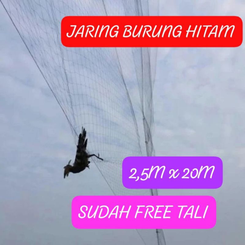 Jaring burung hitam / jaring pikat burung / jaring bonus tali