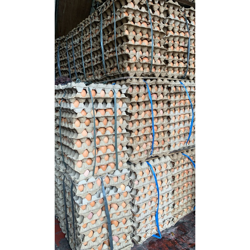

TELUR AYAM NEGRI FRESH DAN BERKUALITAS PER KG (15-17 btr)