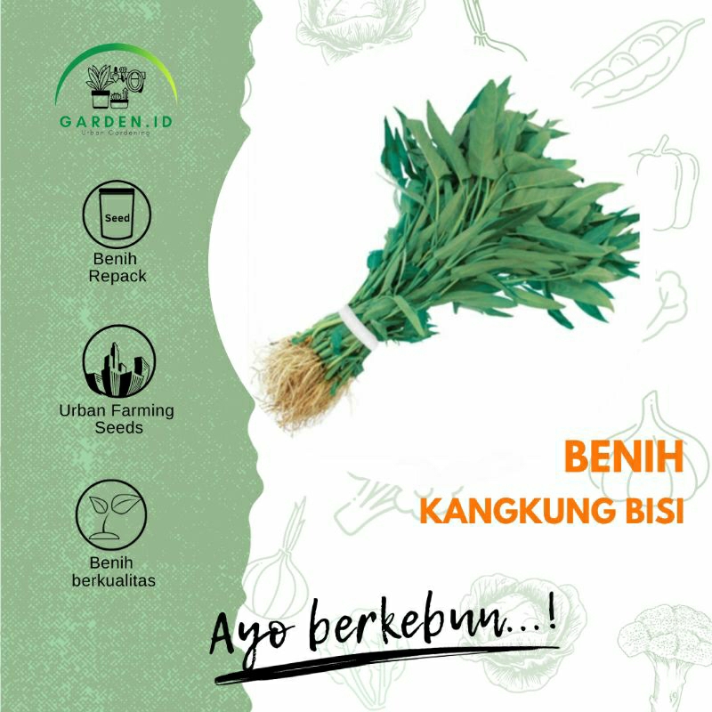 Biji -  Benih Kangkung Bisi