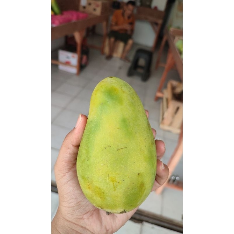 

Mangga Arum Manis