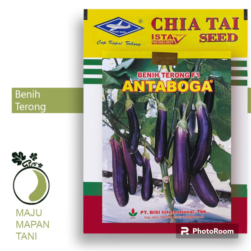 (Exp: 08-03-2025) Bibit Benih Terong Ungu ANTABOGA F1