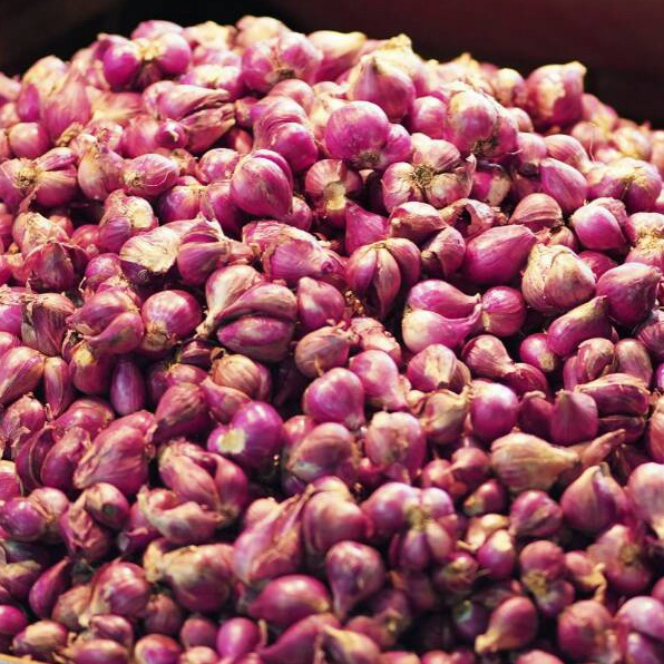 

Bawang Merah Super 500 gr