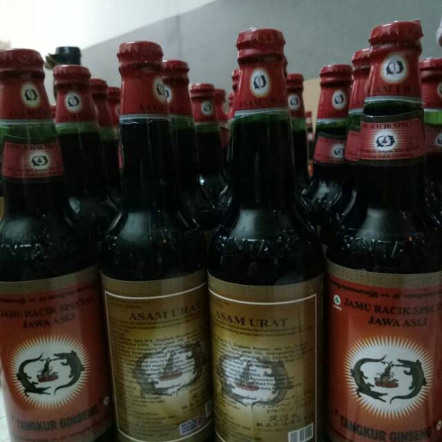 

Terbaik Jamu Tangkur Gingseng asam urat !!